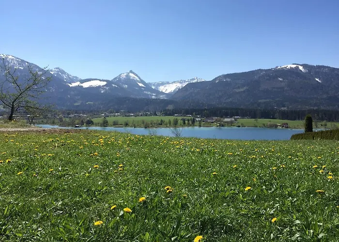 Boutique Appartments Altegreisslerei *